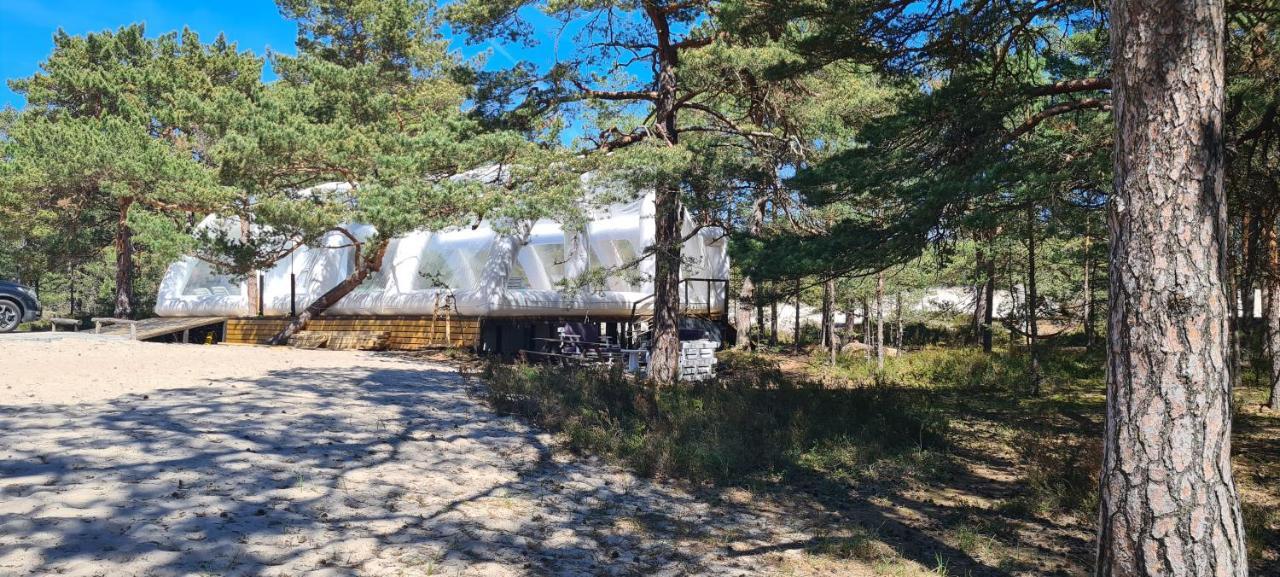 Sub Hel. Budzetowe Pokoje W Domu Z Basenem. Wokol Domu Tylko Natura. Balkon Zbyteczny. Екстер'єр фото